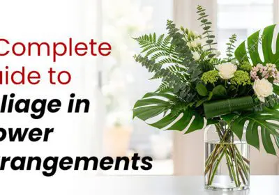 A variety of floral foliage displayed in a styled arrangement, showcasing different leaf textures, shapes, and greenery used in flower arrangements for a complete guide.