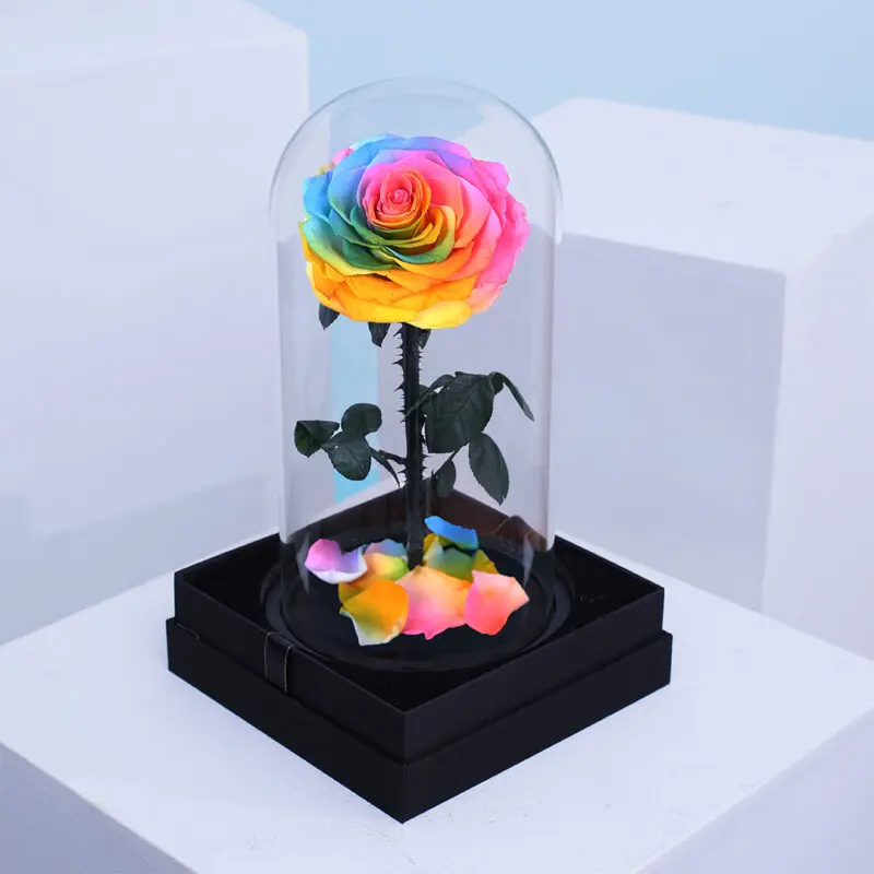 Rainbow Single Preserved Rose-01-0101 Rainbow single rose on black base with colourful petals.