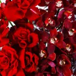crimson-elegance-vase_04