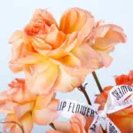 sunset-bloom-vase_05