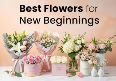 Best flowers for new beginnings, symbolizing hope, renewal, and fresh starts.