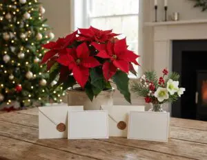 Donate on Their Behalf — A Gift With Purpose 7