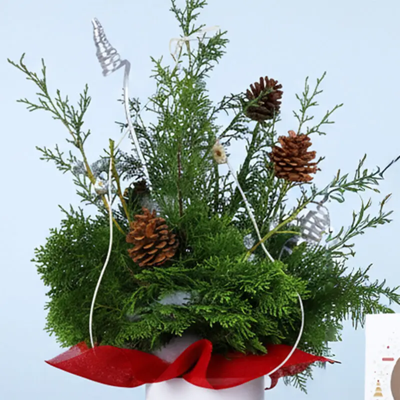 christmas-jenifer-leaves-plum-cake-combo_03 christmas jenifer leaves plum cake combo 03