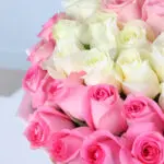 ombre-red-pink-white-roses-bouquet_04