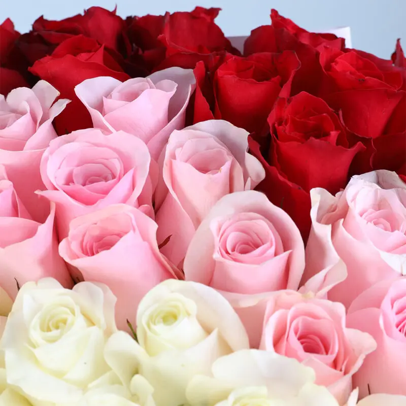 ombre red pink white roses bouquet 05