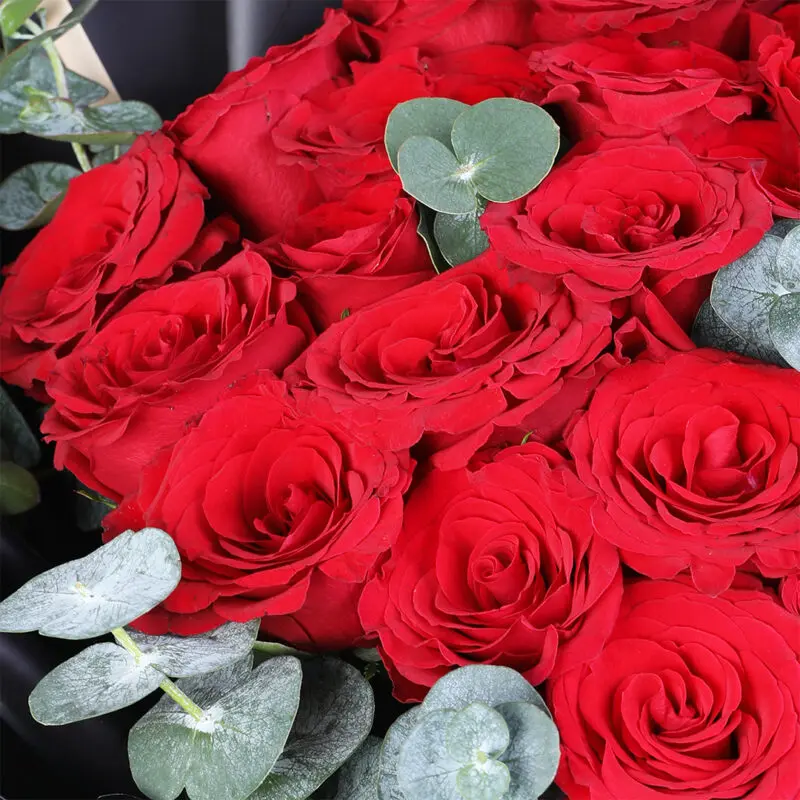 red rose bouquet love card 05