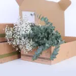 Gypsophila Excellence & Eucalyptus Cinerea Bunch 1 01