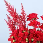Red Spray Roses box with 3 Heart Balloons 2 03