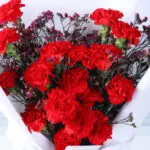 Red Carnations Bouquet & Teddy Combo 3 03