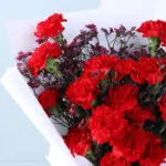 Red Carnations Bouquet & Teddy Combo 4 04