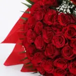 Romantic 30 Red Roses with Gypso 5 05