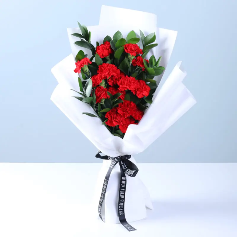 20 Red Carnations Bouquet_02 20 Red Carnations Bouquet 02