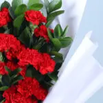 20 Red Carnations Bouquet 4 20 Red Carnations Bouquet_04