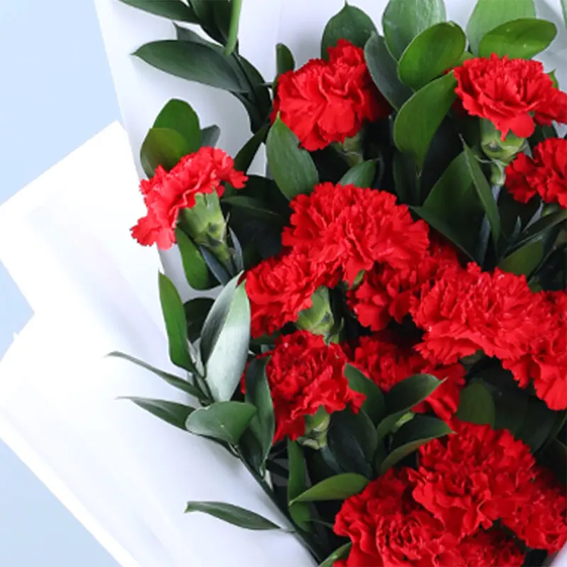 20 Red Carnations Bouquet_05 20 Red Carnations Bouquet 05