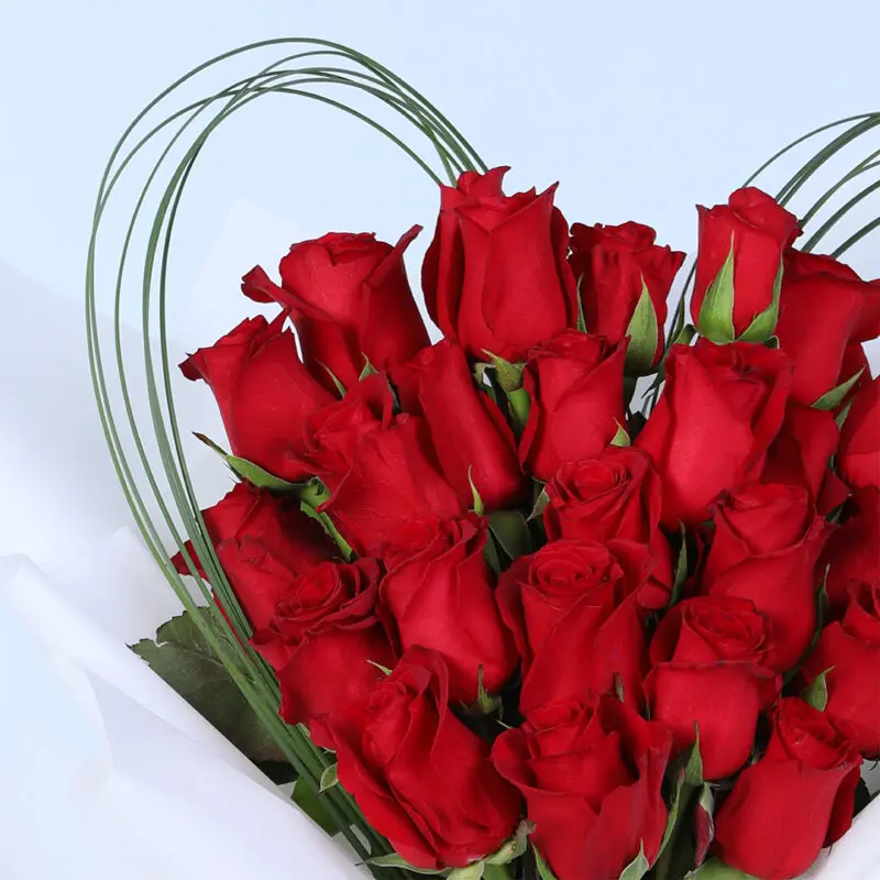 20-red-roses-heart-style_05 20 red roses heart style 05