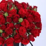 20 Red Spray Roses in Black Box 4 20-red-spray-roses-black-box_04