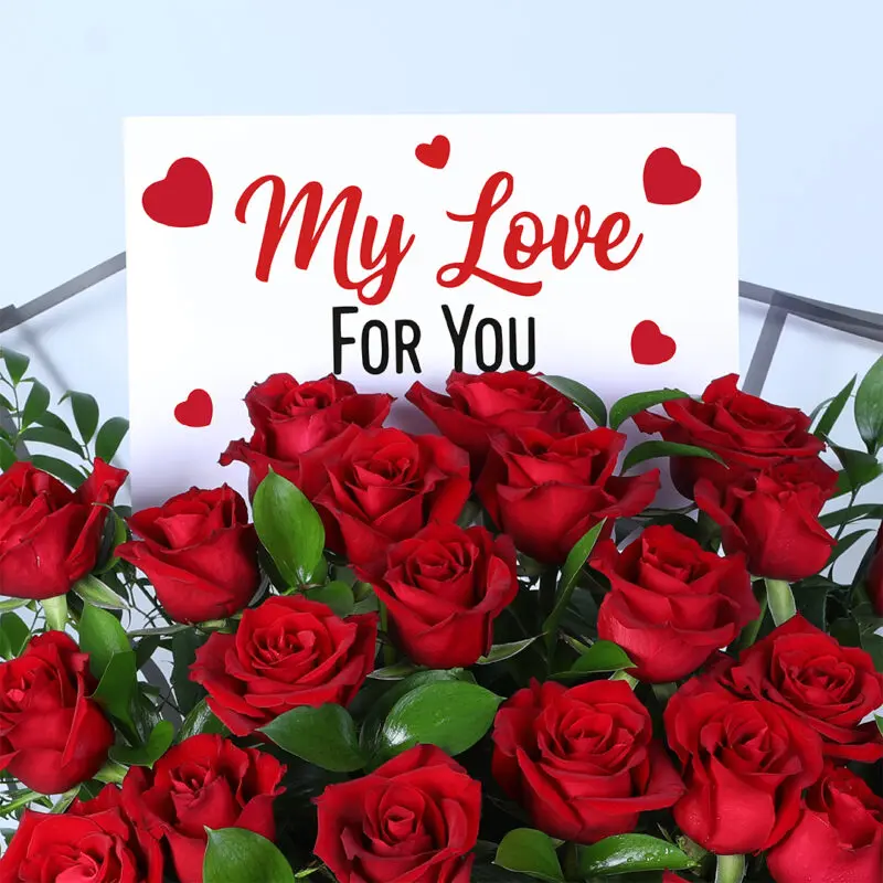 25-red-roses-clear-wrap_02 25 red roses clear wrap 02
