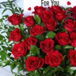 25 Red Roses Bouquet in Clear Wrap 3 25-red-roses-clear-wrap_03