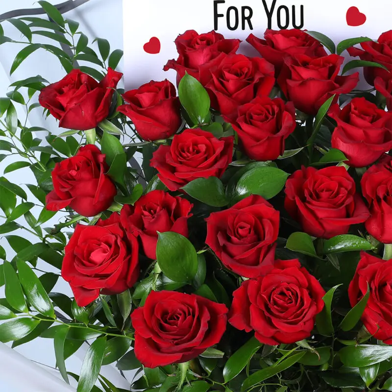 25-red-roses-clear-wrap_03 25 red roses clear wrap 03