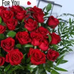 25 Red Roses Bouquet in Clear Wrap 4 25-red-roses-clear-wrap_04