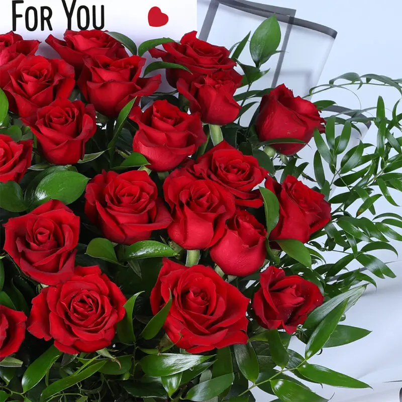 25-red-roses-clear-wrap_04 25 red roses clear wrap 04