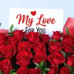 25-red-roses-red-wrap_02