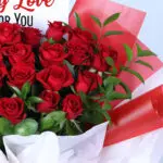 25-red-roses-red-wrap_03