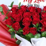 25-red-roses-red-wrap_04