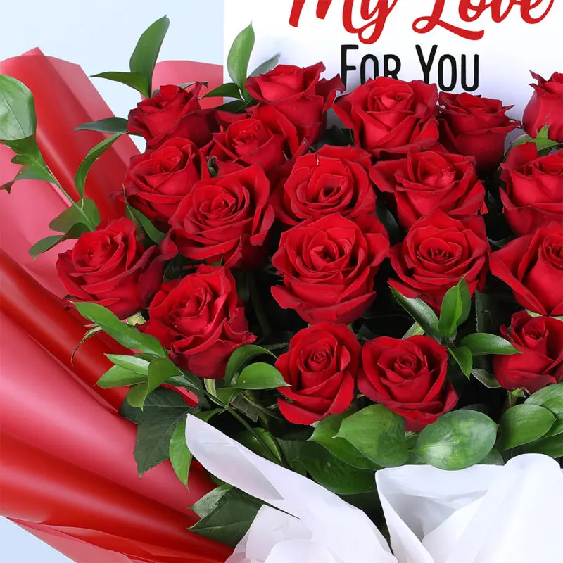 25 red roses red wrap 04
