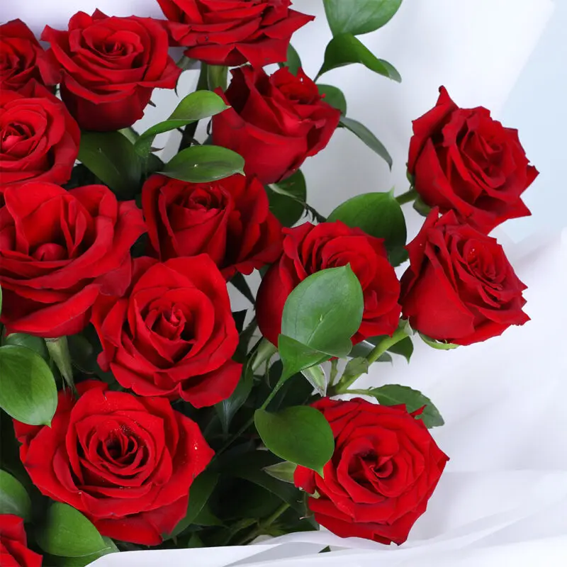25-red-roses-white-wrap_03 25 red roses white wrap 03