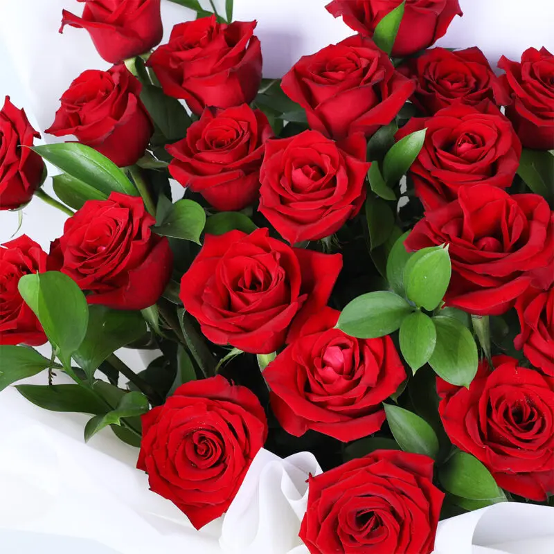 25-red-roses-white-wrap_04 25 red roses white wrap 04