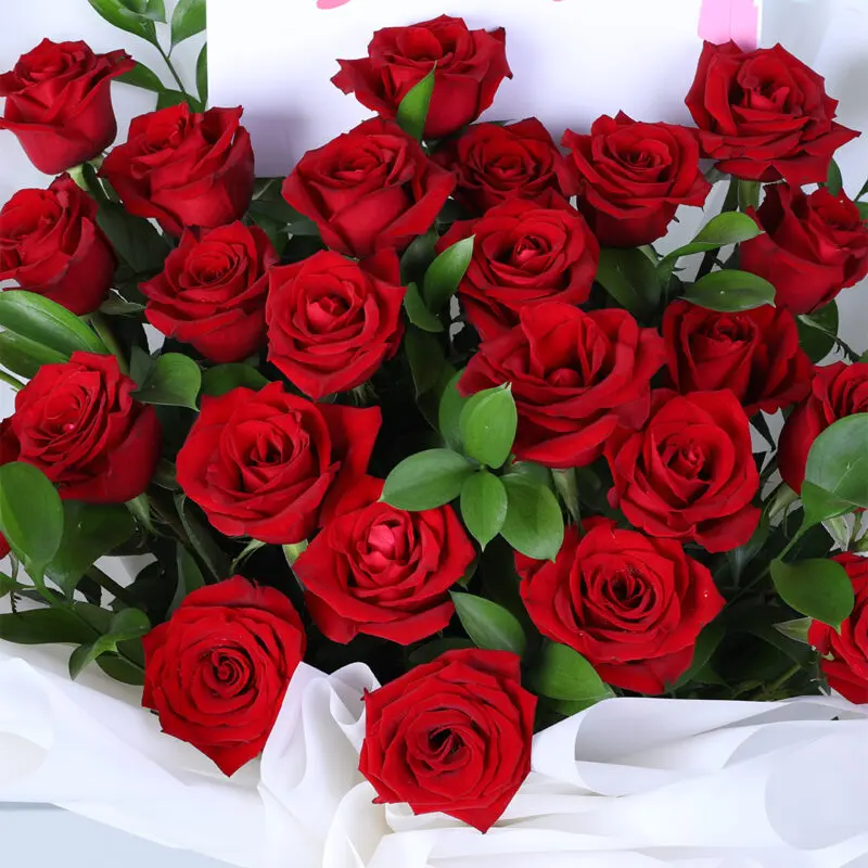 25-red-roses-white-wrap_05 25 red roses white wrap 05