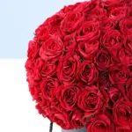 30-red-spray-roses-box-red-teddy-combo_04