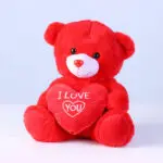 7 Red Roses & Cute Red Teddy Combo 4 7-red-roses-cute-red-teddy-combo_04