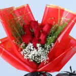 Red Roses with Gypsophila & Teddy Gift 4 7-red-roses-gypsophila-teddy-gift_2026_04