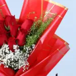 Red Roses with Gypsophila & Teddy Gift 5 7-red-roses-gypsophila-teddy-gift_2026_05