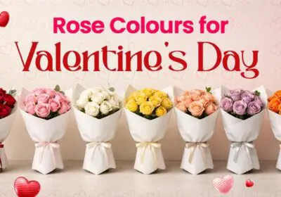 Different rose colours for Valentine’s Day and what each colour symbolizes in love and relationships