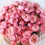 bombastic-light-pink-rose-peony-bouquet_03