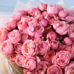 bombastic-light-pink-rose-peony-bouquet_04