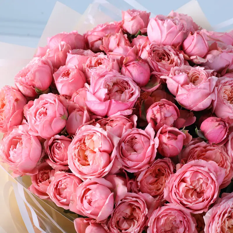 bombastic light pink rose peony bouquet 04