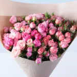 20 Bombastic Pink Roses & Red Teddy 3 bombastic-pink-roses-teddy-combo_03