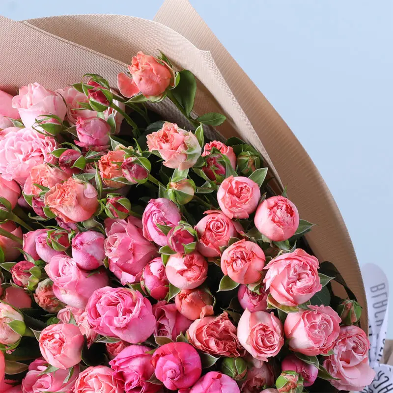 bombastic-pink-roses-teddy-combo_04 bombastic pink roses teddy combo 04