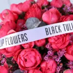 bombastic-purple-peony-flower-box_05
