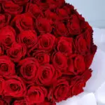 Cupid’s 120 Red Rose Luxury 4 cupid ’s-120-ecuador-red-roses-bouquet_04