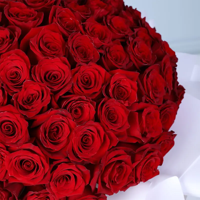 cupid ’s-120-ecuador-red-roses-bouquet_04 cupid s 120 ecuador red roses bouquet 04