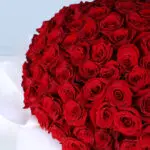 Cupid’s 120 Red Rose Luxury 5 cupid ’s-120-ecuador-red-roses-bouquet_05