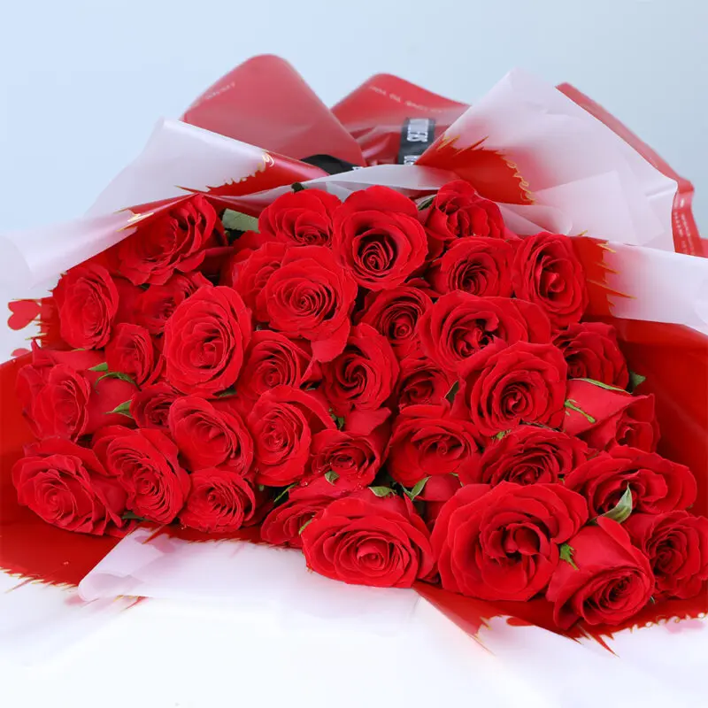 fresh-60-red-roses-bunch_03 fresh 60 red roses bunch 03
