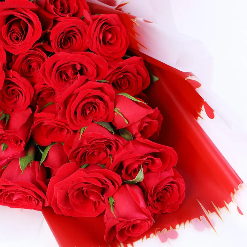 fresh-60-red-roses-bunch_04 fresh 60 red roses bunch 04