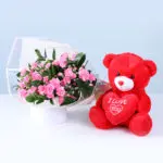 Light Pink Carnations & Red Teddy Combo 1 light-pink-carnations-red-teddy-vday-combo