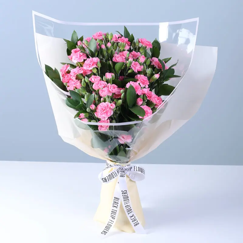 light-pink-carnations-red-teddy-vday-combo_02 light pink carnations red teddy vday combo 02